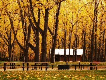 September 27, 2024 Bowness Park