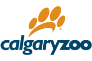 Calgary Zoo November 1, 2019